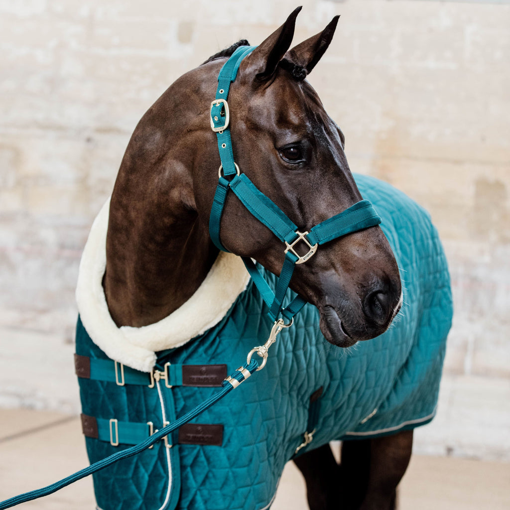 Kentucky Showdecke Samt - 160G