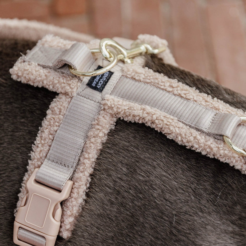 Kentucky Hundegeschirr Active - Teddy Fleece