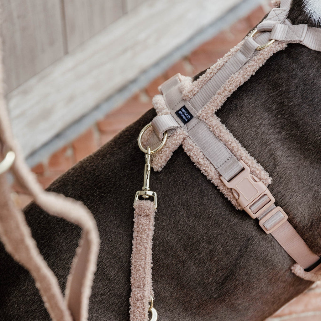Kentucky Hundegeschirr Active - Teddy Fleece