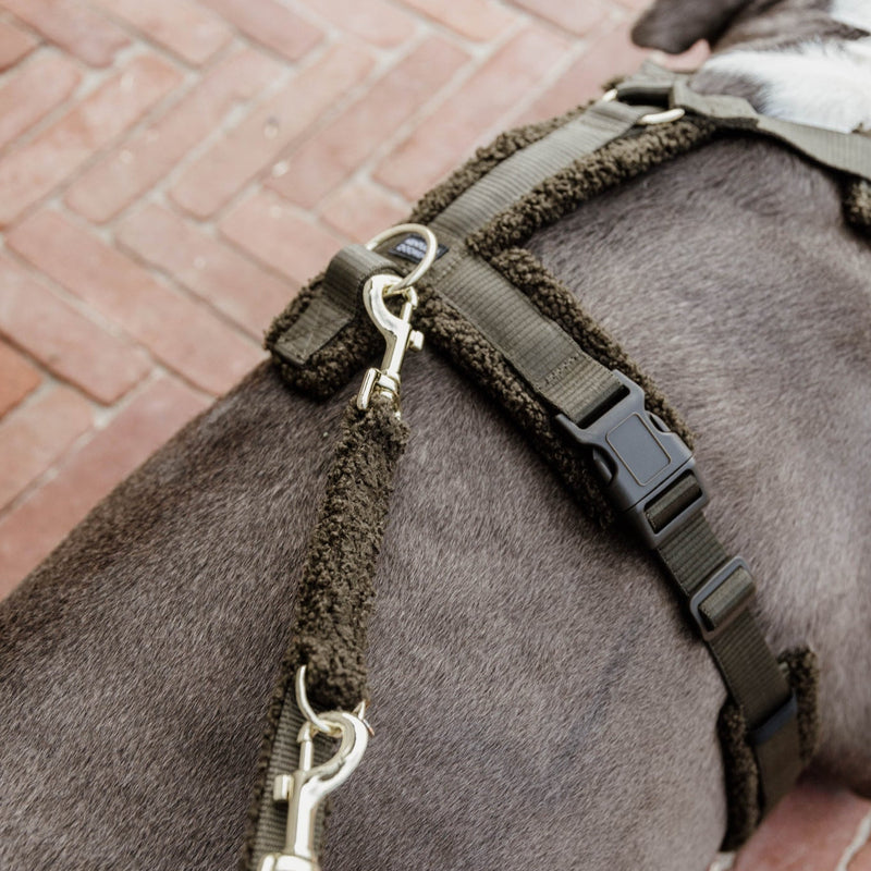 Kentucky Dog Harness Active - Teddy Fleece