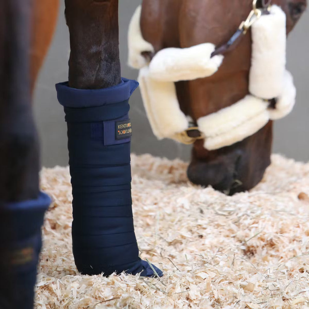 Kentucky Stable - Protège-Bandage