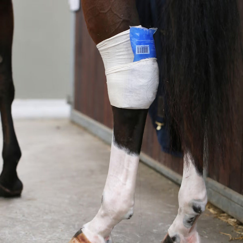 Kentucky Tendon Grip Kous