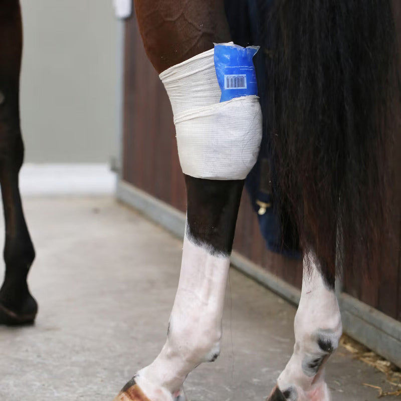 Kentucky Tendon Grip Sock