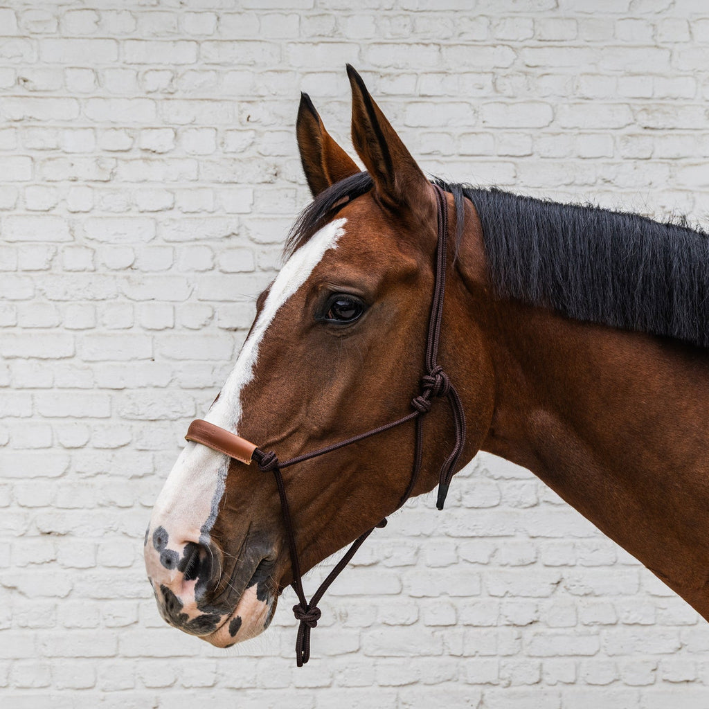 Kentucky Seilhalfter