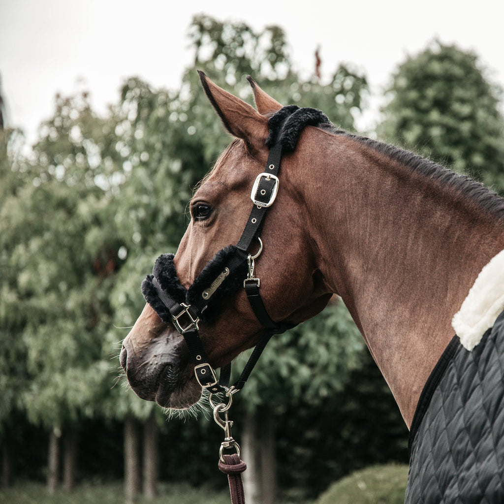 Kentucky Lammfell Transporthalfter