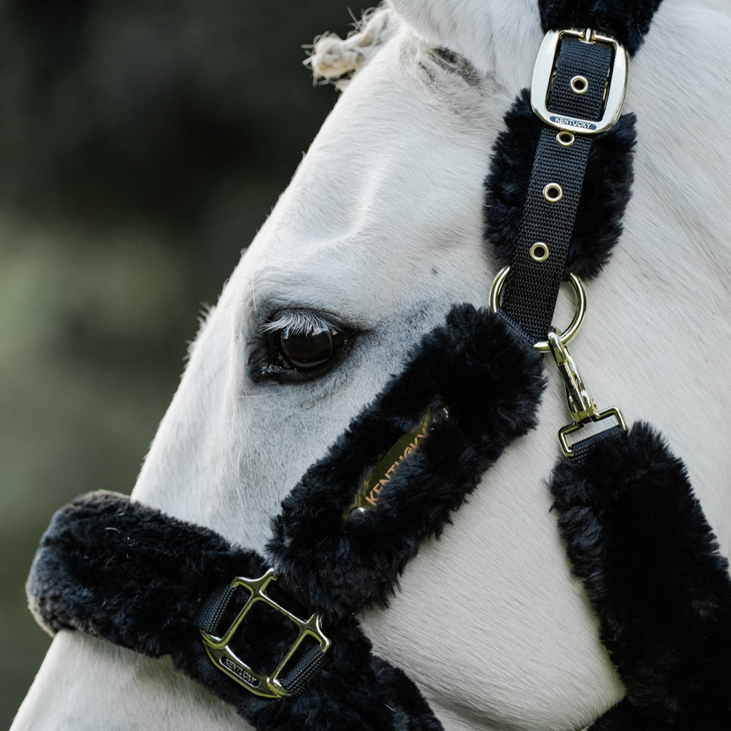 Kentucky Lammfell Transporthalfter