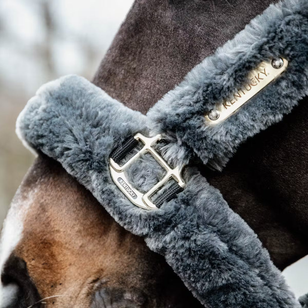 Kentucky Sheepskin Shipping Halter