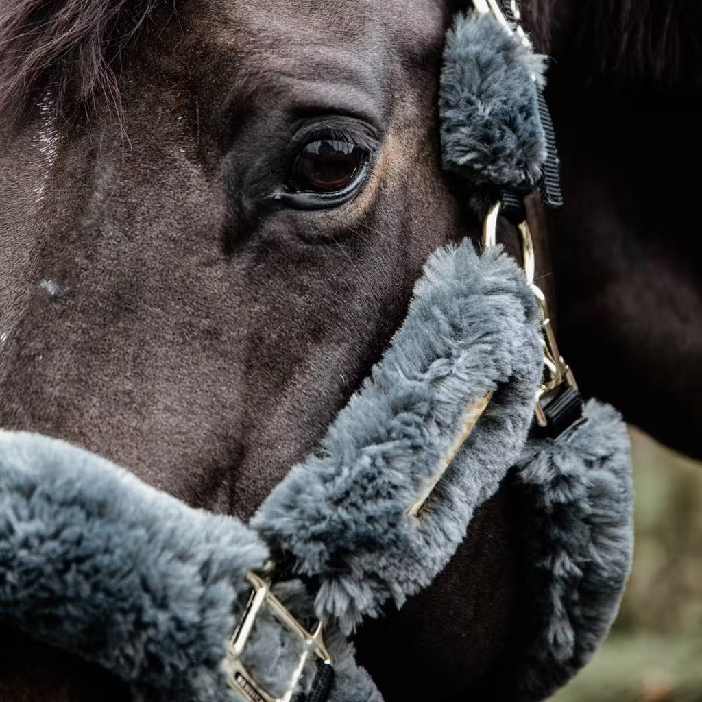 Kentucky Sheepskin Shipping Halter