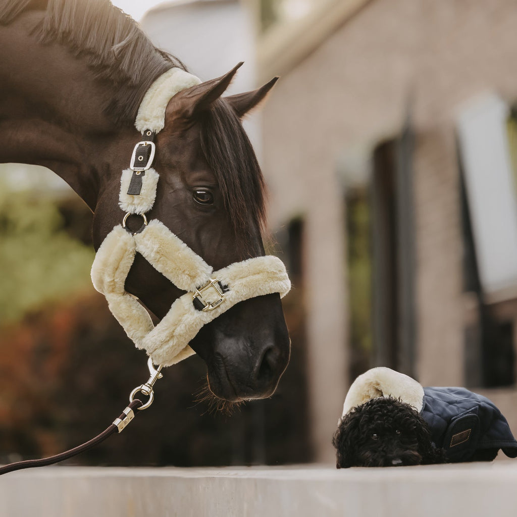 Kentucky Sheepskin Shipping Halter