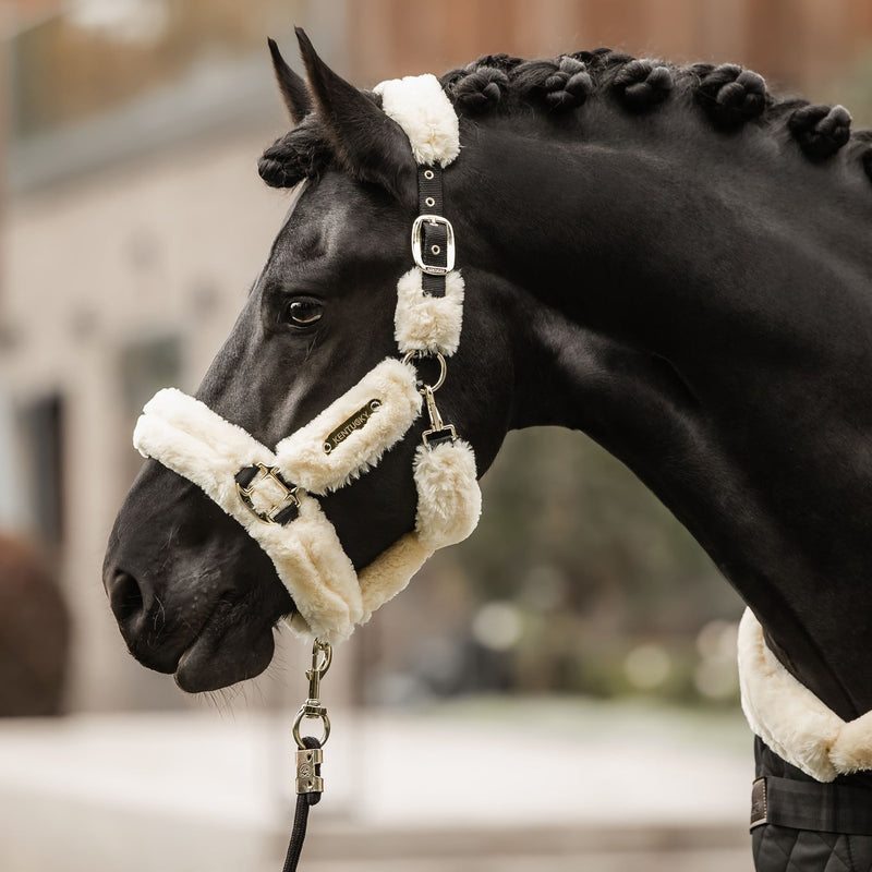 Kentucky Sheepskin Shipping Halter