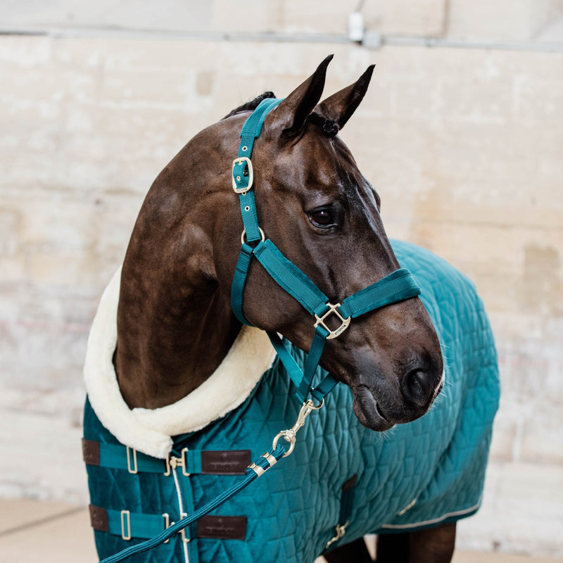 Kentucky Halfter Samt