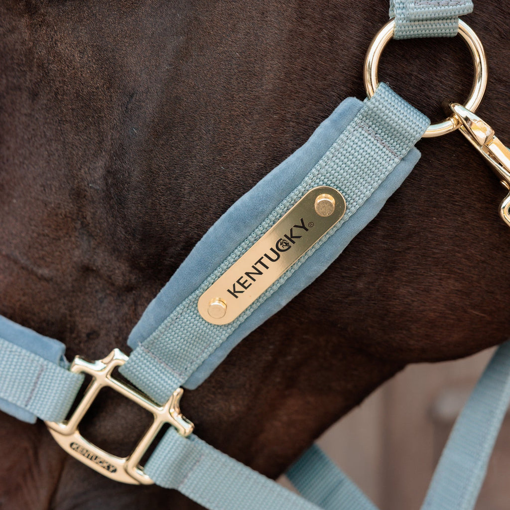 Kentucky Halfter Velvet