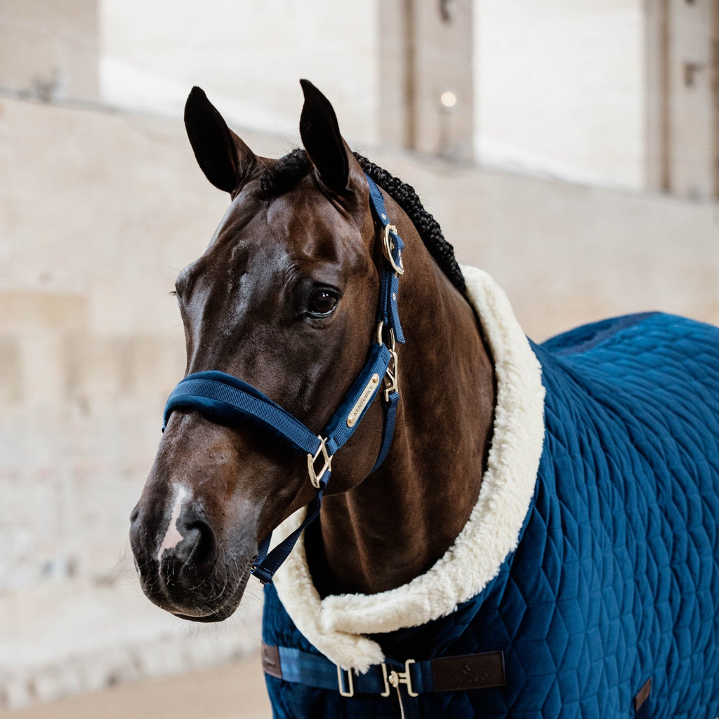Licou Kentucky Velours