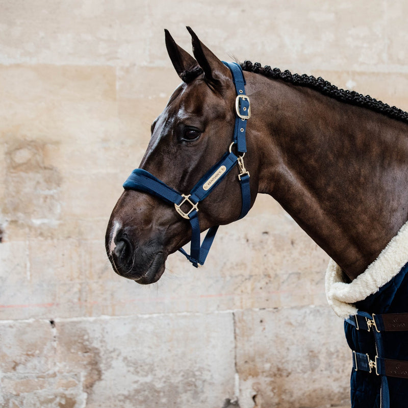 Kentucky Halfter Samt
