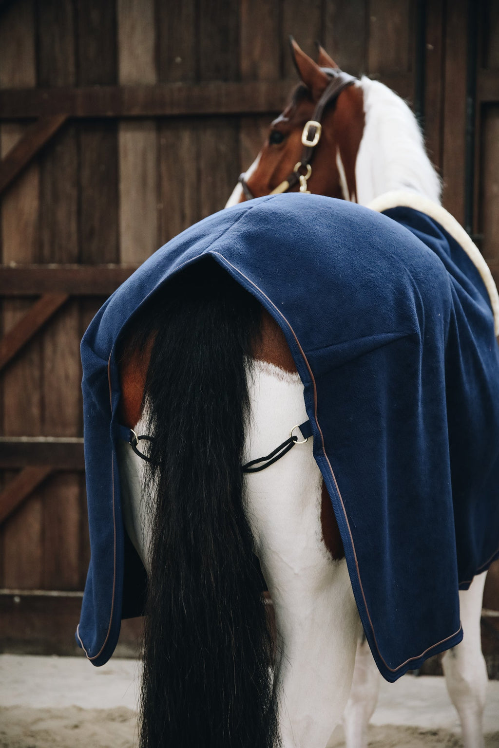 Kentucky Zweetdeken - Show - Heavy Fleece