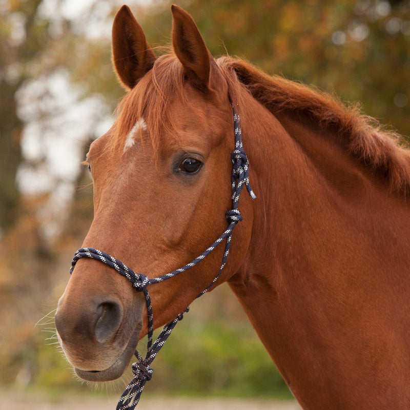 Rope Halter