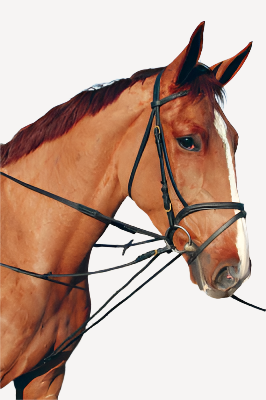LJ Slofteugel Leder + Touw