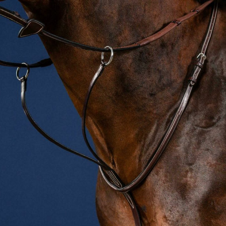 Dy'on Running Martingale - US Collectie