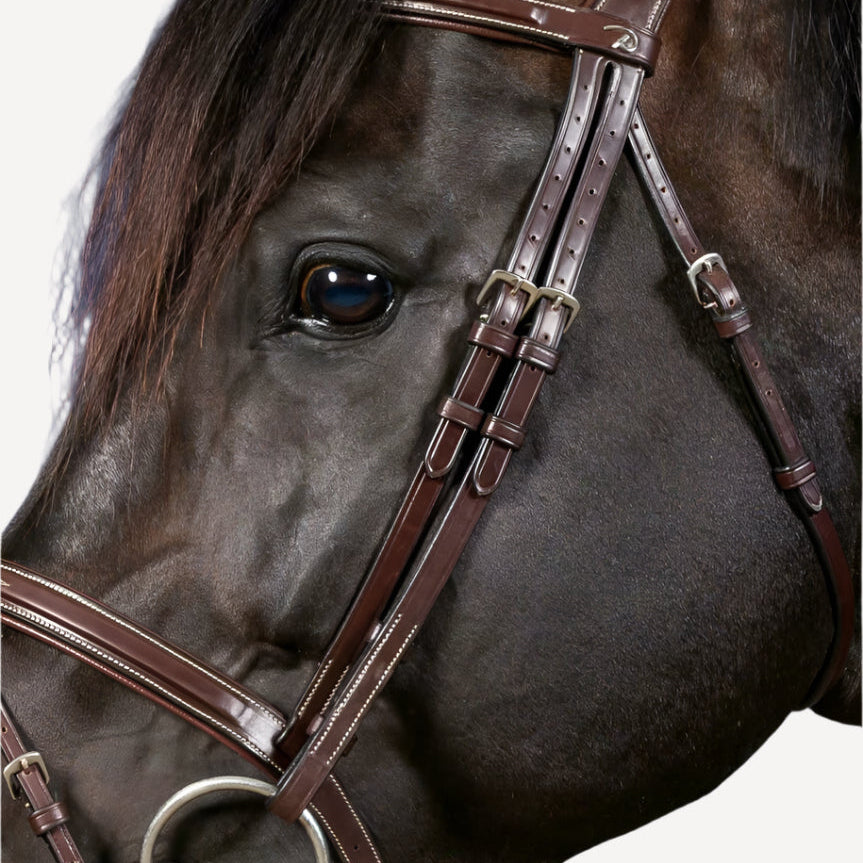 Montants de filet Dy'on - Collection US