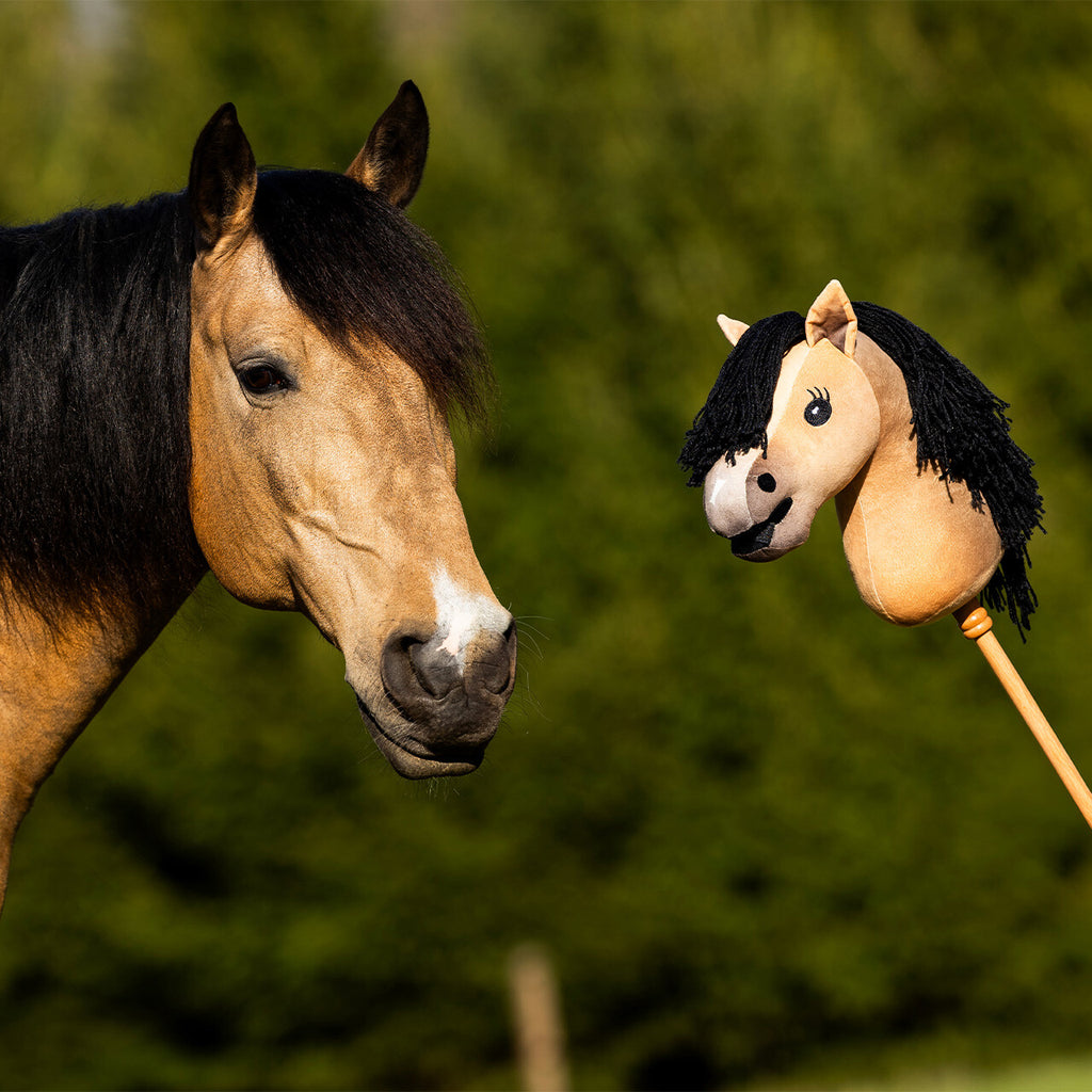 Nalanta Hobby Horse