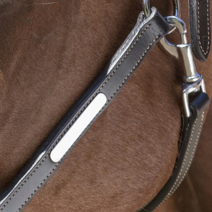 Norton Pro Pflege Lederhalfter