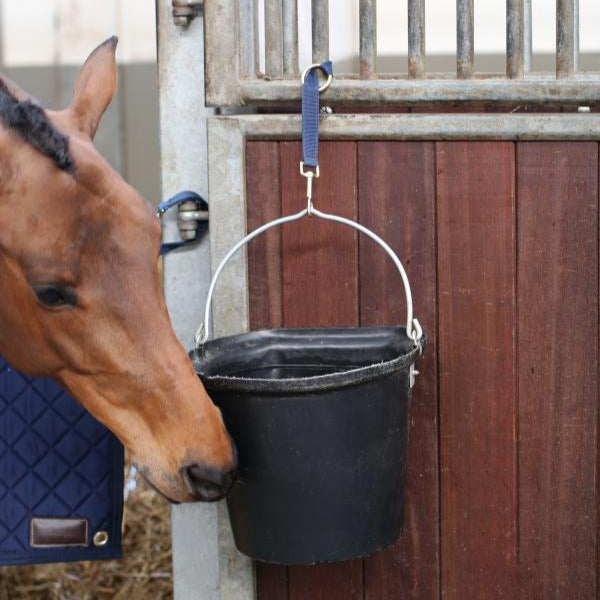 Kentucky Nylonhalter Haken & Ring