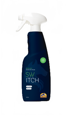 this is a product image