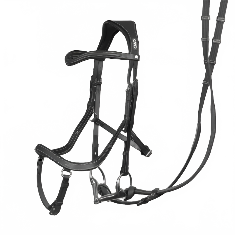this is a product image