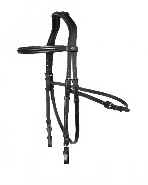 this is a product image