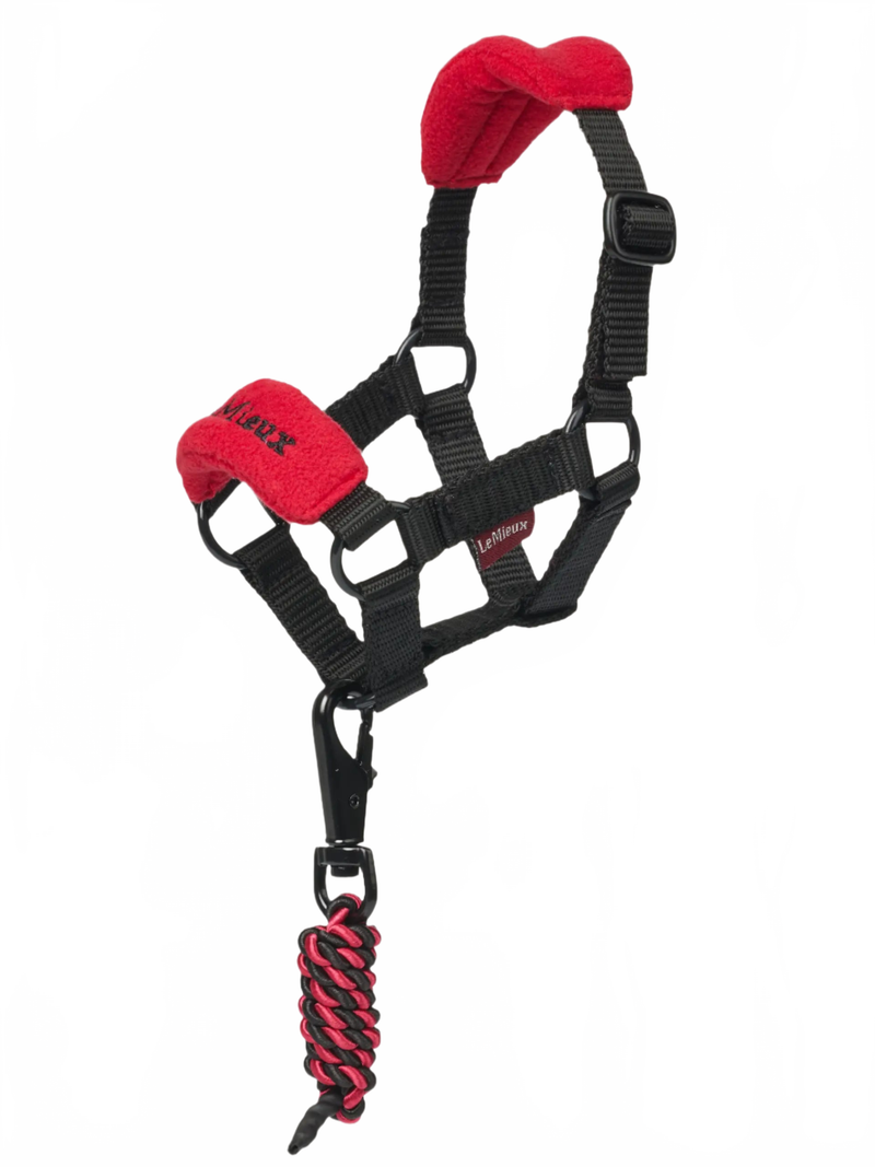LeMieux Toy Pony Vogue Halfter & Seil