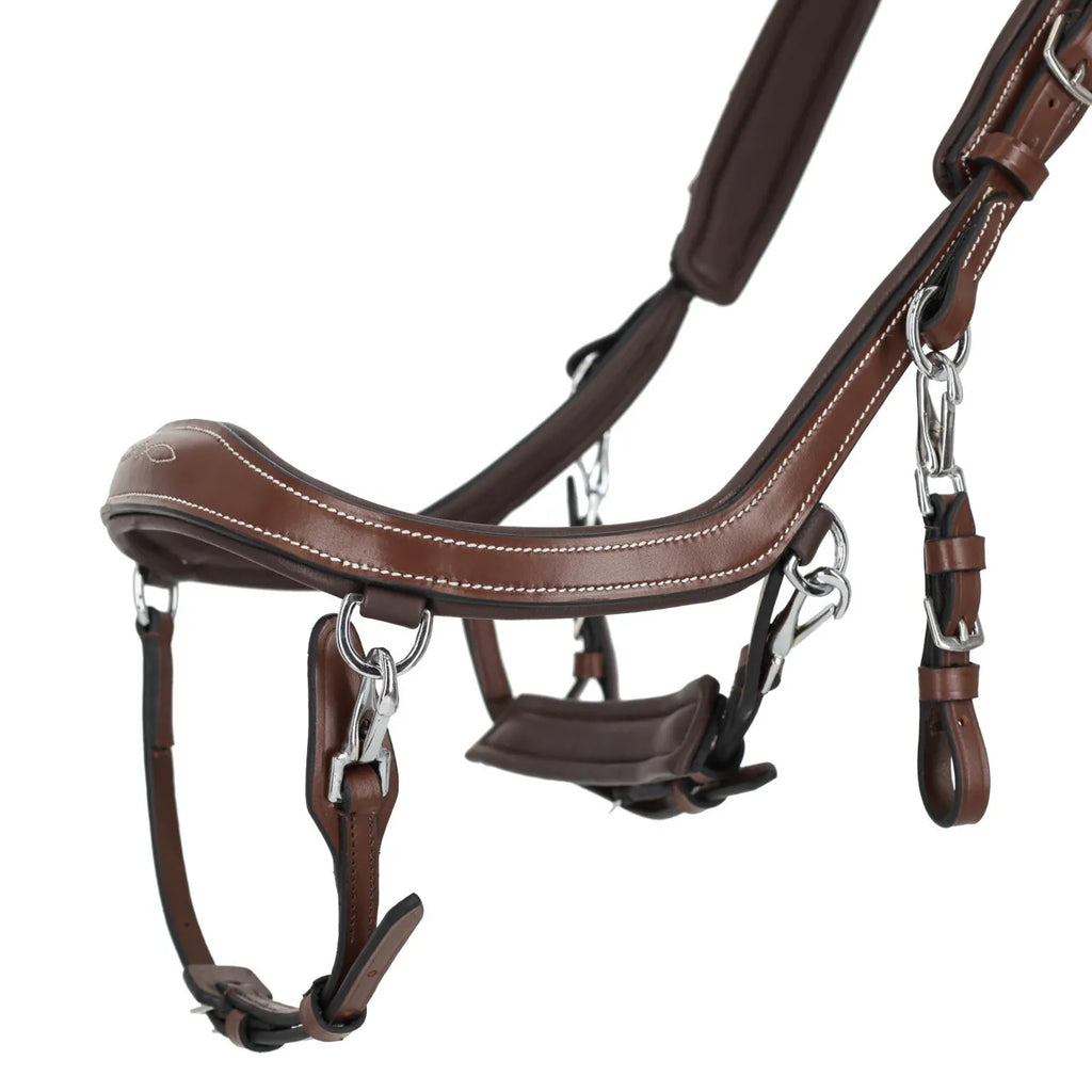 PresTeq Trensenzaum Fay Sport Classic