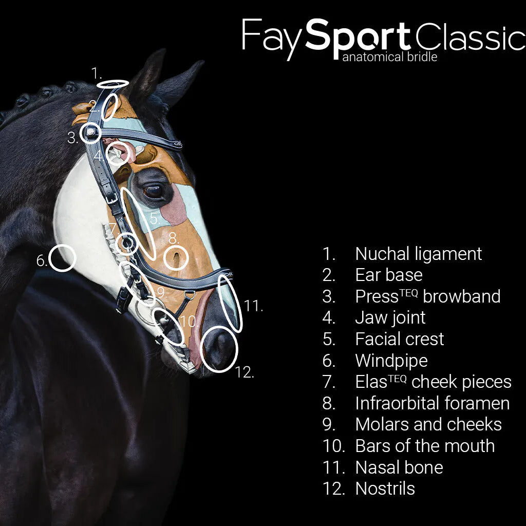 PresTeq Trensenzaum Fay Sport Classic