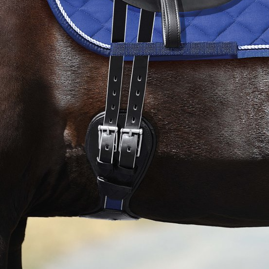 Passier Dressage Girth Passierblu - Wave - Leather