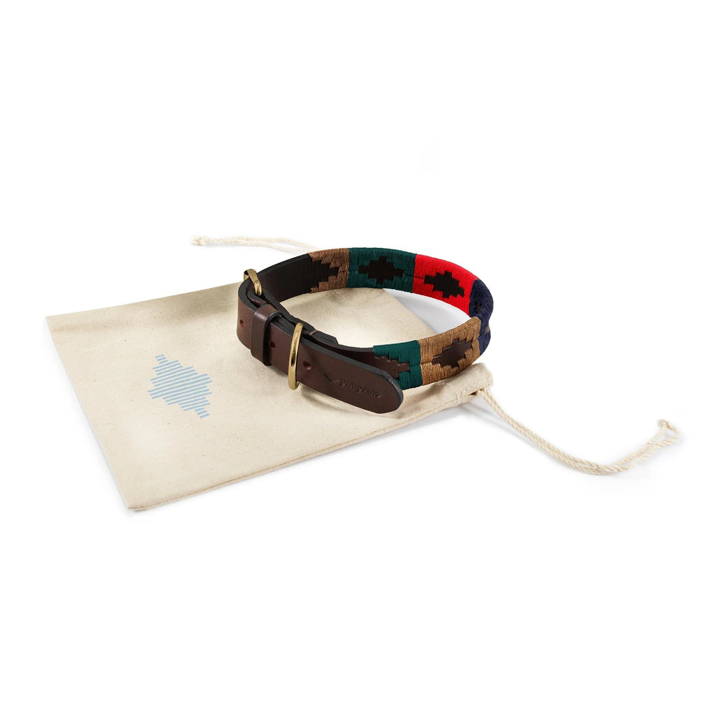 Collier pour chien Pampeano