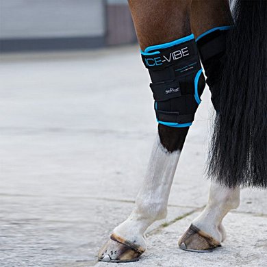 Horseware Ice-Vibe Sprunggelenk-Wickel