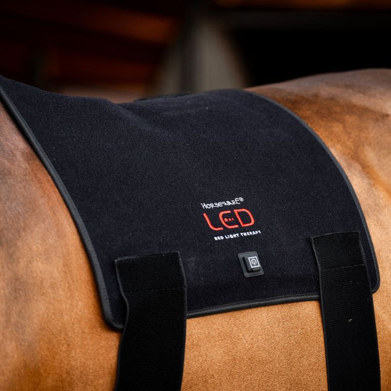Horseware LED Rotlicht-Therapie-Pad