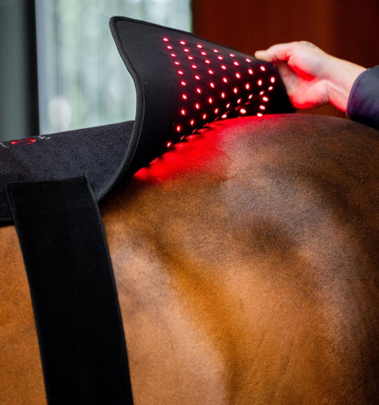 Horseware LED Rotlicht-Therapie-Pad