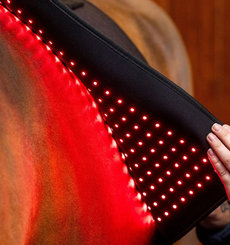 Horseware LED Rotlicht-Therapie-Pad