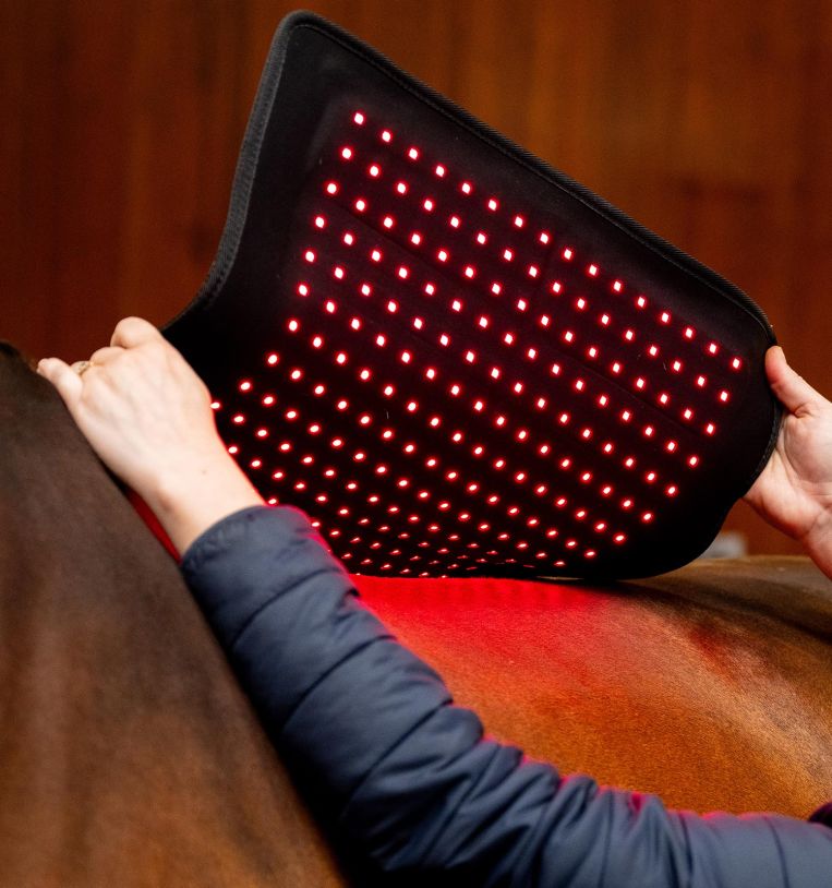 Horseware LED Rotlicht-Therapie-Pad