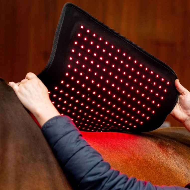 Horseware LED Rotlicht-Therapie-Pad