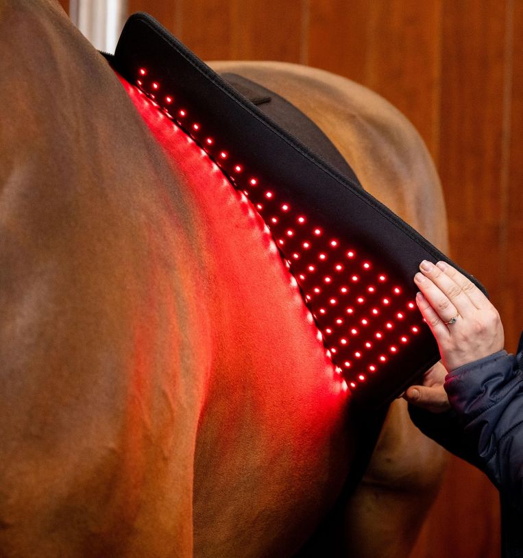 Horseware LED Rotlicht-Therapie-Pad