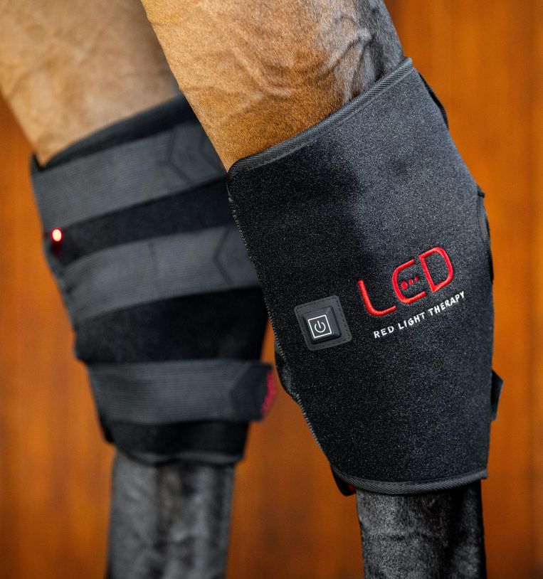 Horseware Led Red Light Therapy Hock Boot