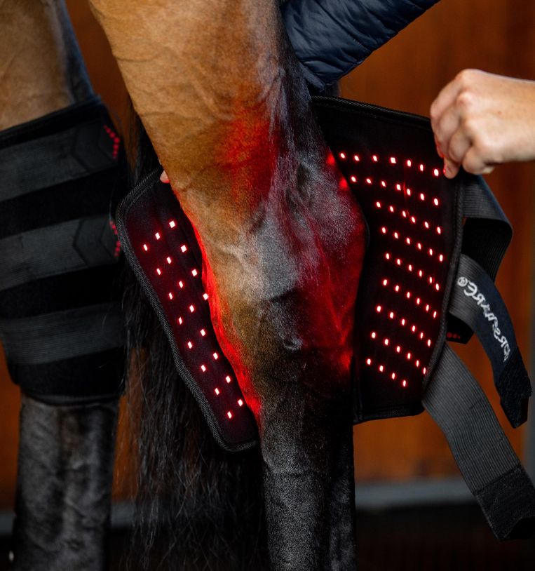 Horseware Led Red Light Therapy Hock Boot