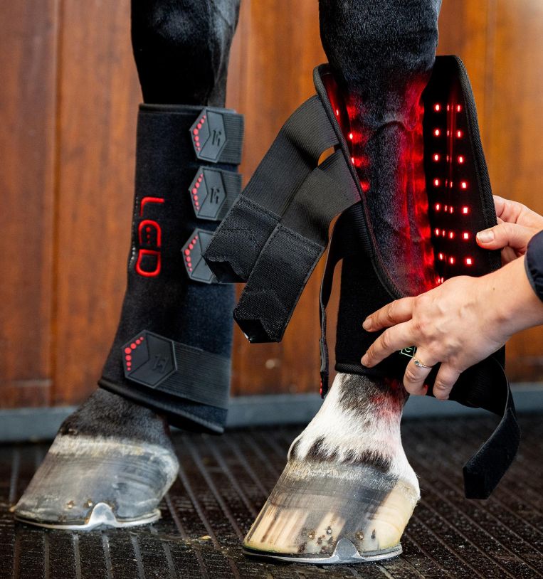 Horseware Led Red Light Therapy Leg Wrap