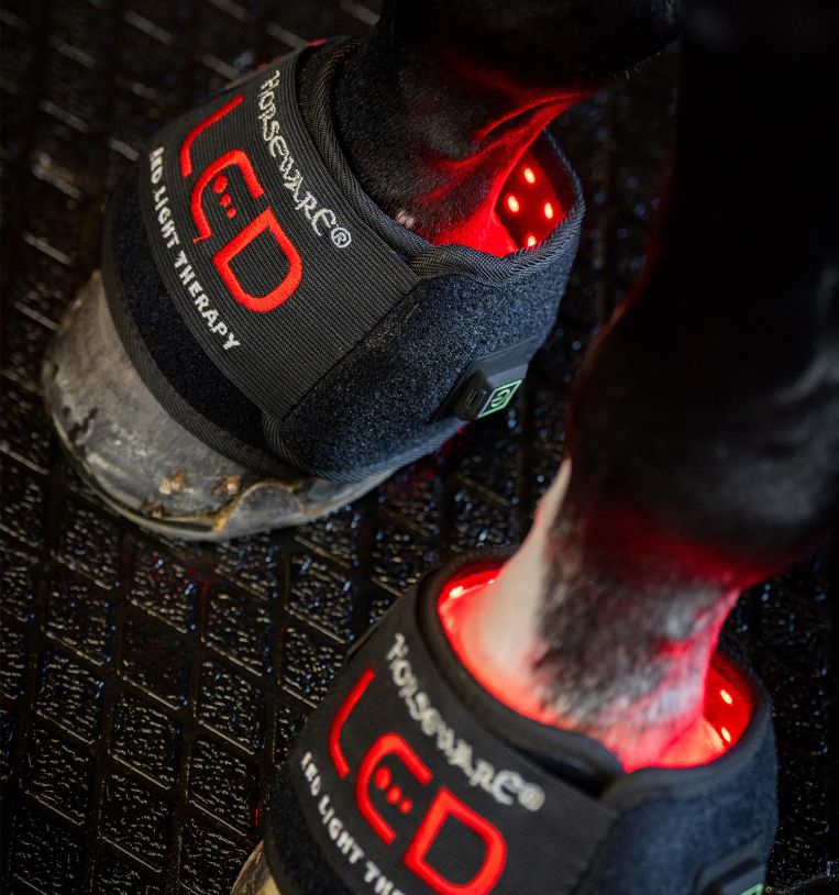 Horseware Led Red Light Therapy Mini Wrap Hoofshoe