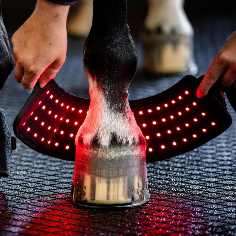 Horseware LED Rotlicht-Therapie Mini Wickel Hufschuh