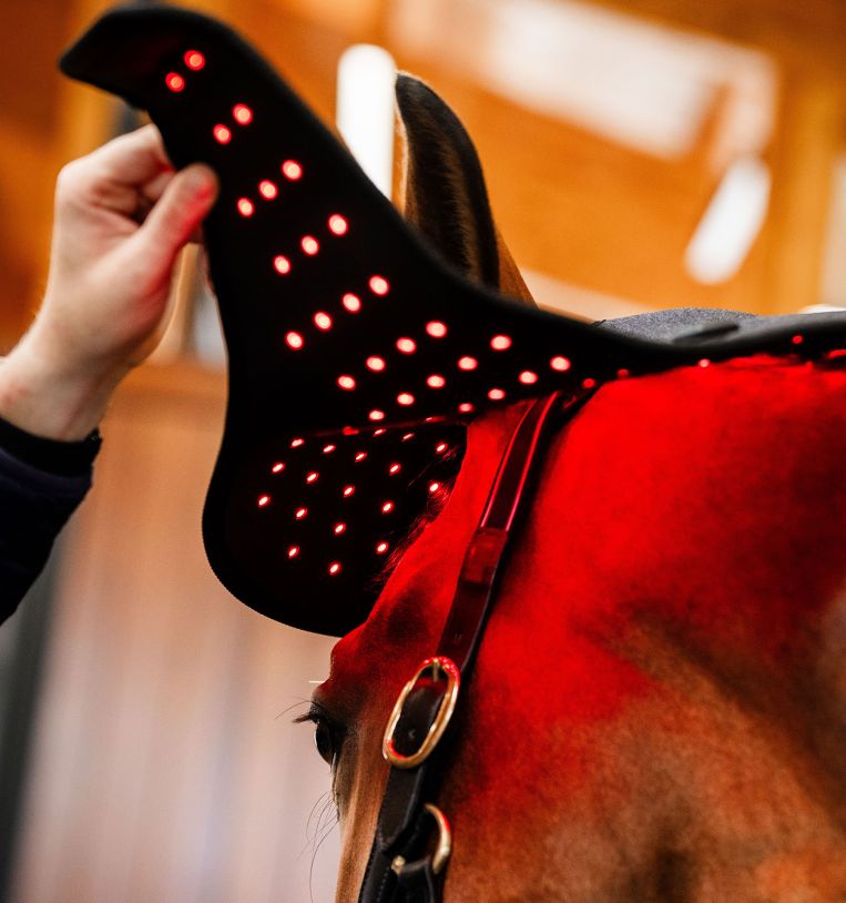 Horseware Led Red Light Therapy Poll Cap