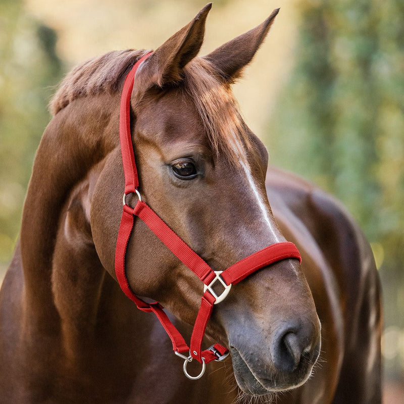 Waldhausen Halter Satin