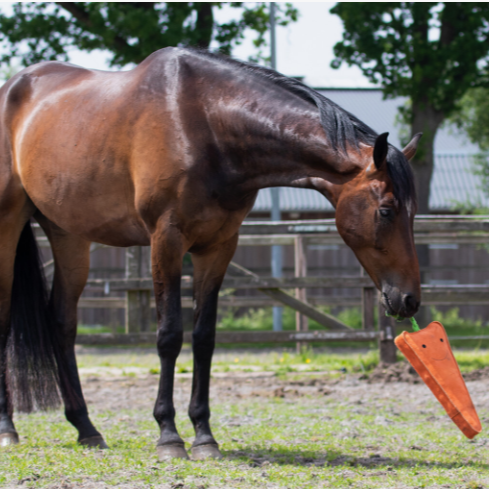 QHP Horse Toy - Xl