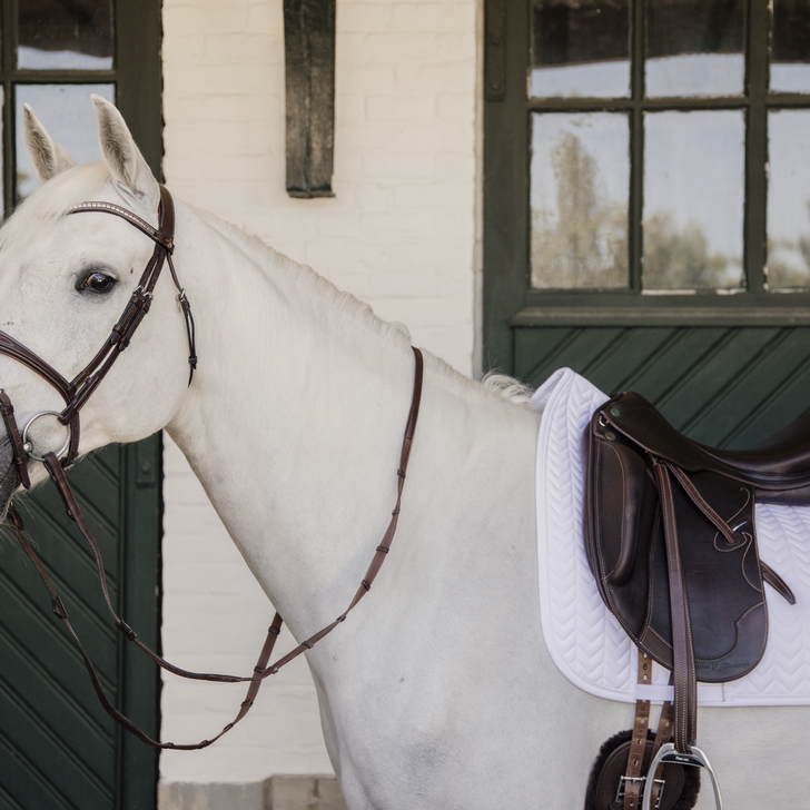 Kentucky Zadeldek - Fishbone - Dr
